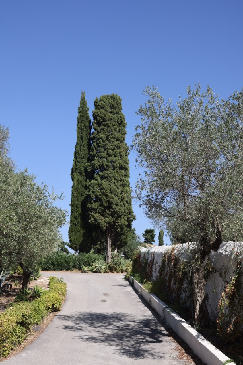 8B8A7284 Large